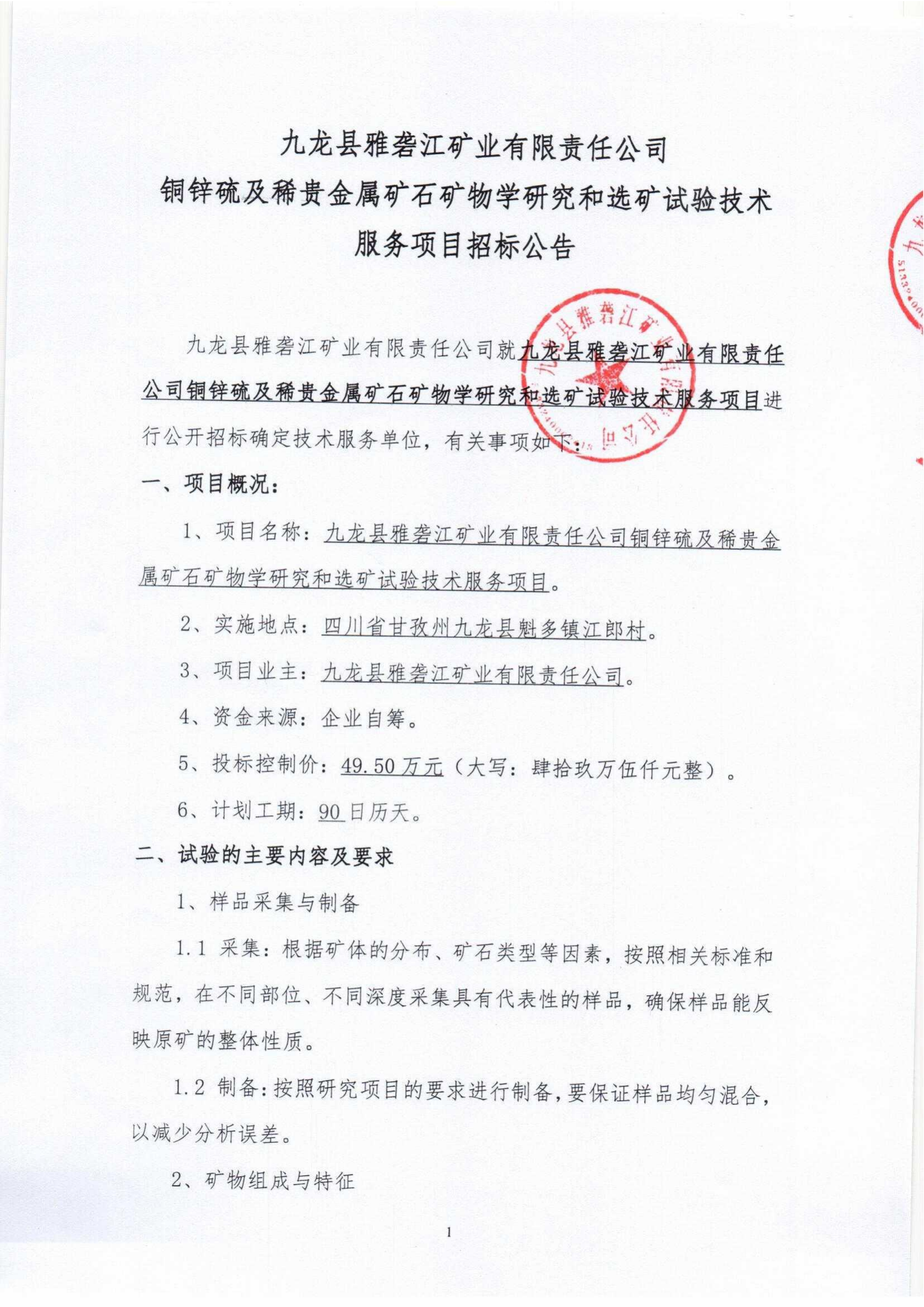 九龍縣雅礱江礦業有限責任公司銅鋅硫及稀貴金屬選礦試驗研究項目招標文件_00.png